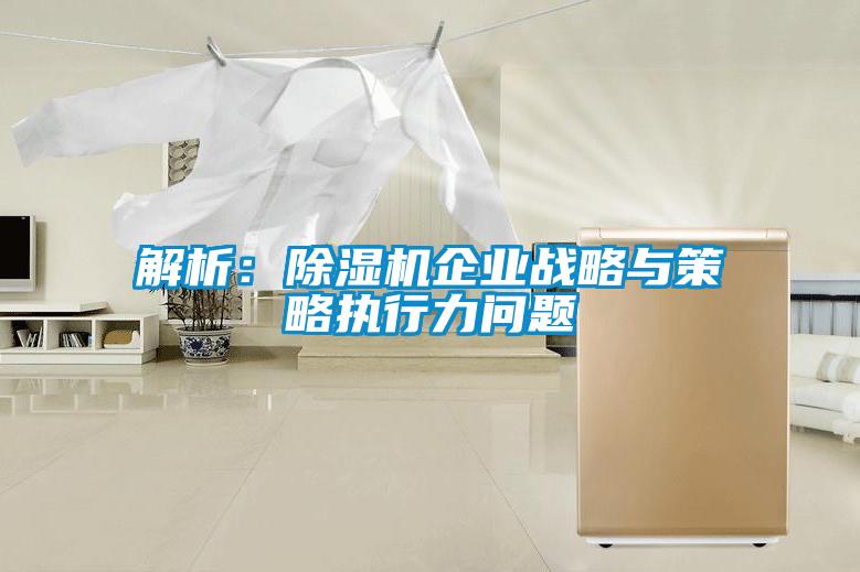 解析：除濕機(jī)企業(yè)戰(zhàn)略與策略執(zhí)行力問題