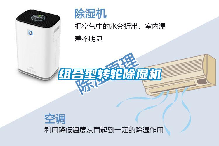 組合型轉(zhuǎn)輪除濕機