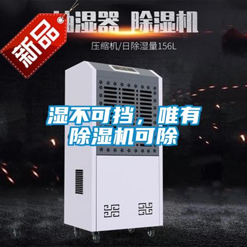 濕不可擋，唯有除濕機(jī)可除