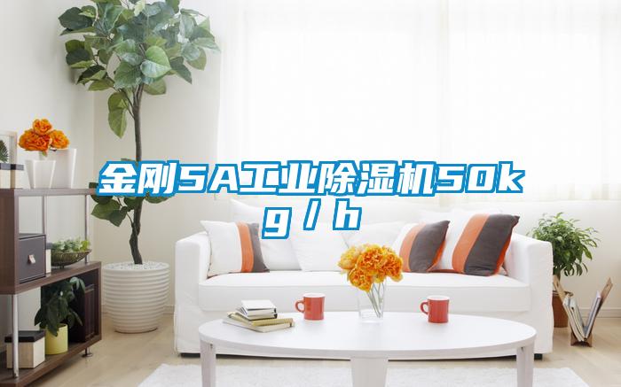 金剛5A工業(yè)除濕機(jī)50kg／h