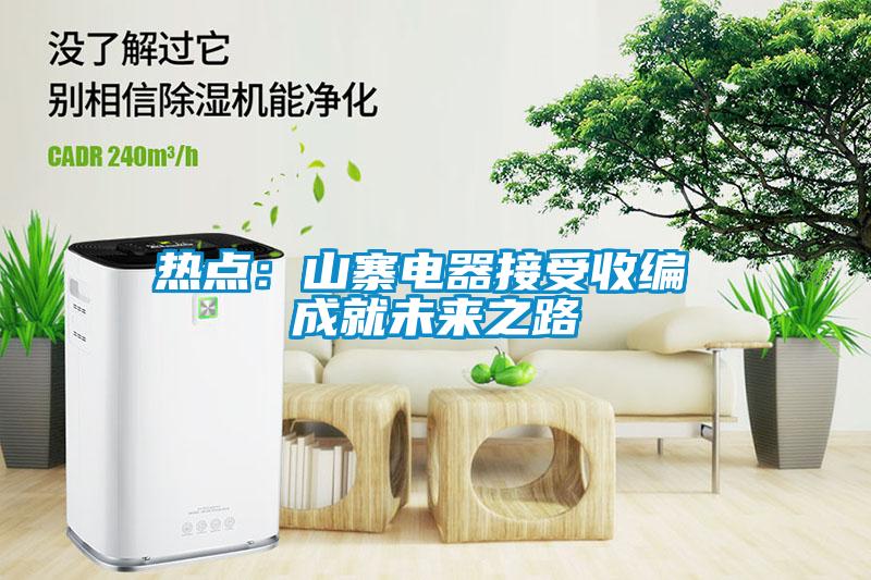 熱點(diǎn)：山寨電器接受收編 成就未來(lái)之路
