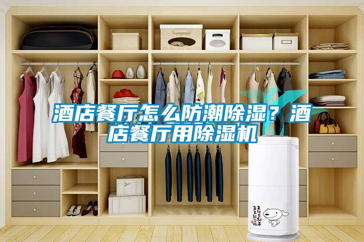 酒店餐廳怎么防潮除濕？酒店餐廳用除濕機(jī)