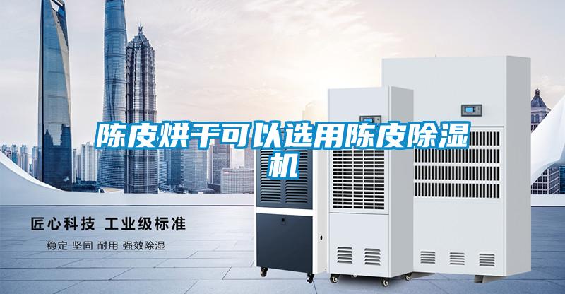 陳皮烘干可以選用陳皮除濕機(jī)