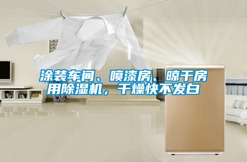 涂裝車間、噴漆房、晾干房用除濕機(jī)，干燥快不發(fā)白