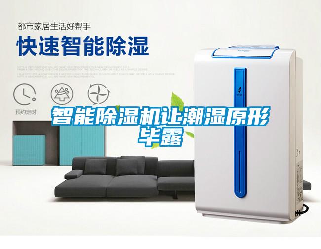 智能除濕機(jī)讓潮濕原形畢露