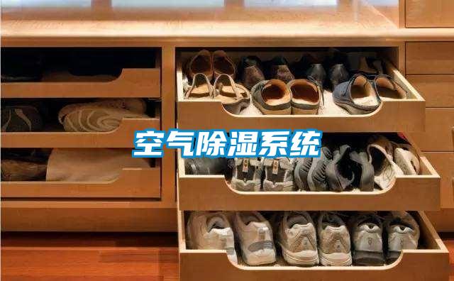 空氣除濕系統(tǒng)