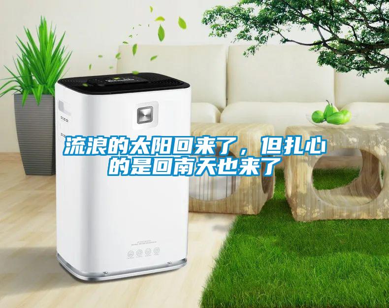 流浪的太陽回來了，但扎心的是回南天也來了