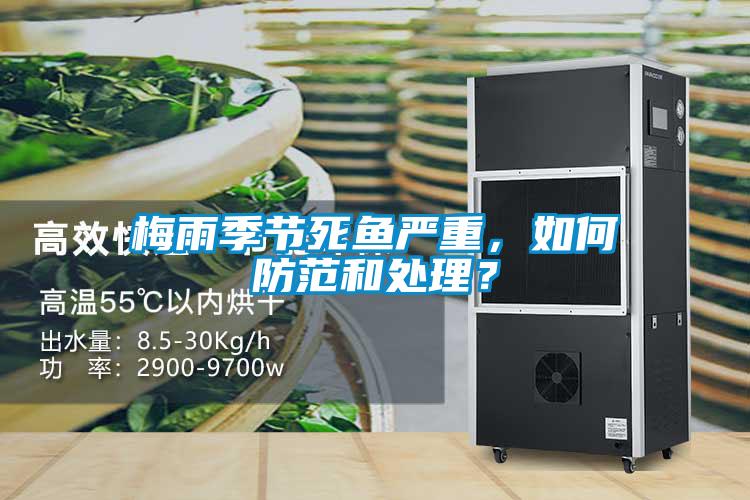 梅雨季節(jié)死魚嚴(yán)重，如何防范和處理？
