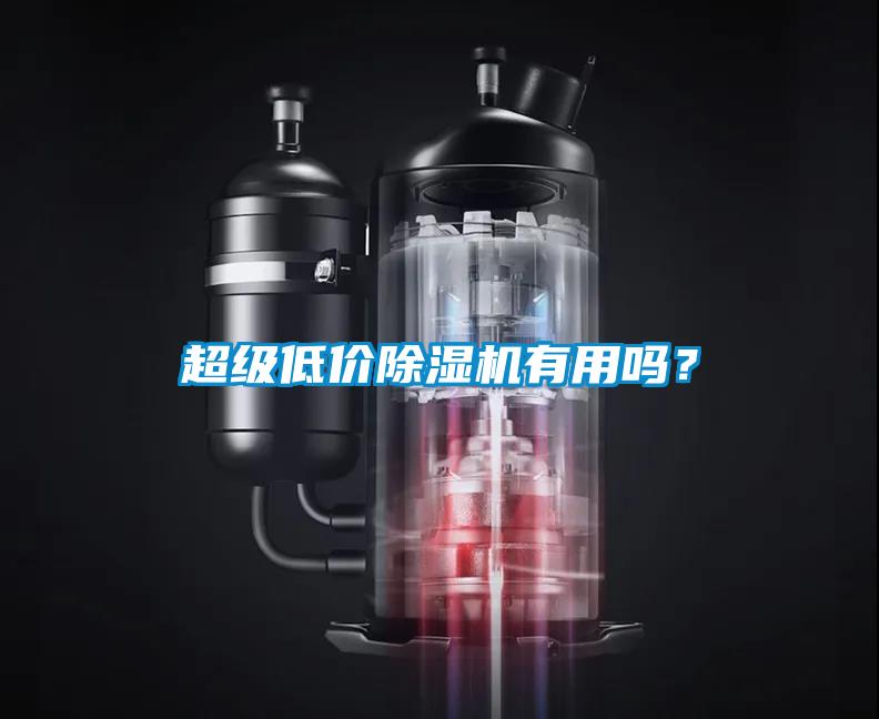超級(jí)低價(jià)除濕機(jī)有用嗎？