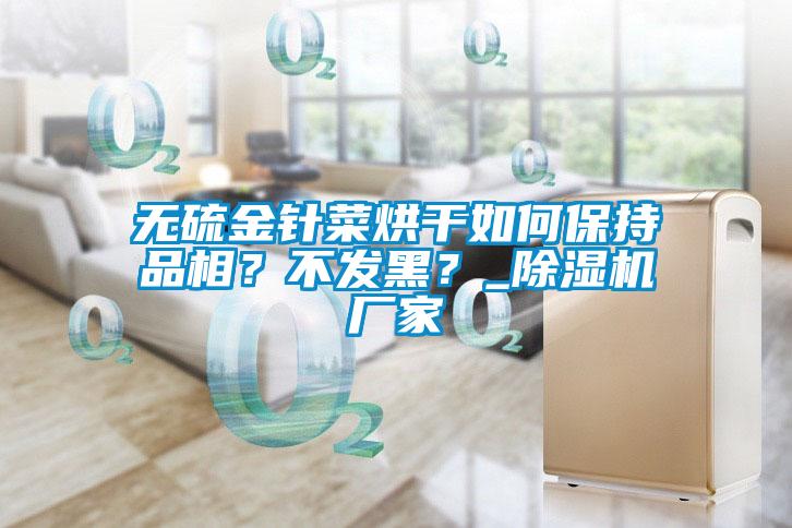 無(wú)硫金針菜烘干如何保持品相？不發(fā)黑？_除濕機(jī)廠家