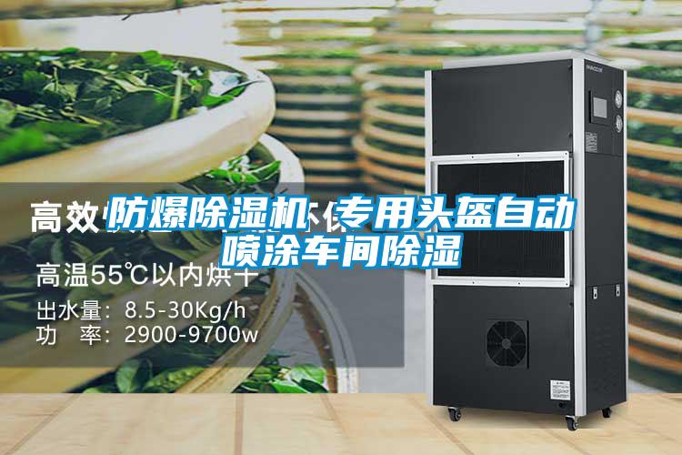 防爆除濕機 專用頭盔自動噴涂車間除濕