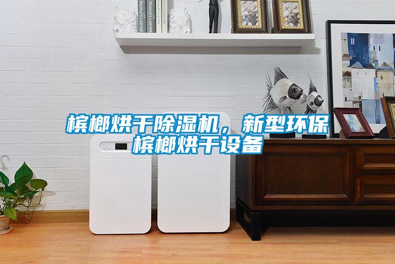 檳榔烘干除濕機(jī)，新型環(huán)保檳榔烘干設(shè)備