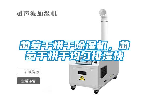 葡萄干烘干除濕機，葡萄干烘干均勻排濕快