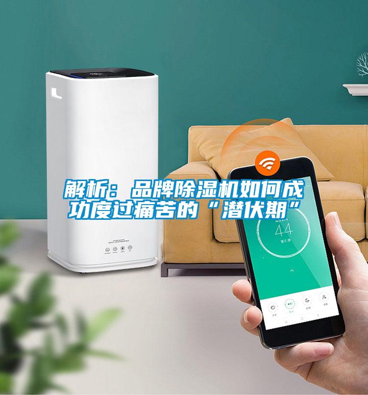 解析：品牌除濕機(jī)如何成功度過(guò)痛苦的“潛伏期”