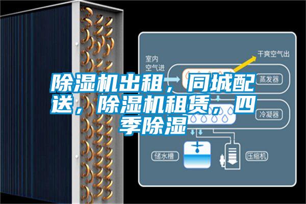 除濕機出租，同城配送，除濕機租賃，四季除濕