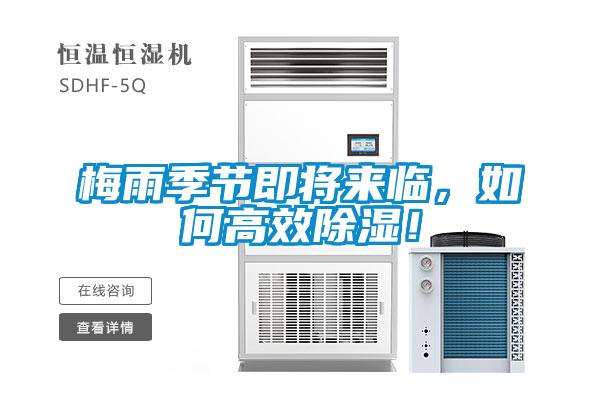 梅雨季節(jié)即將來臨，如何高效除濕！