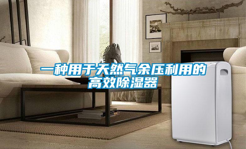一種用于天然氣余壓利用的高效除濕器