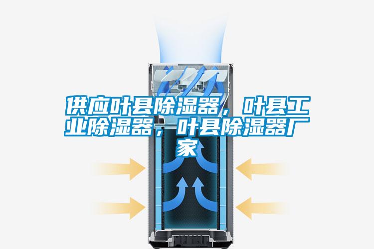 供應葉縣除濕器，葉縣工業(yè)除濕器，葉縣除濕器廠家