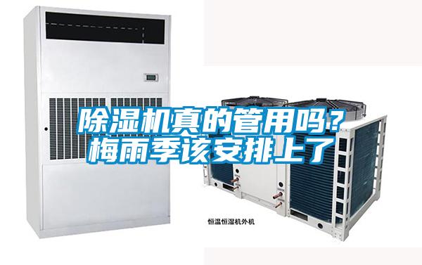 除濕機真的管用嗎？梅雨季該安排上了