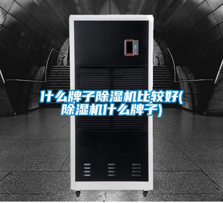 什么牌子除濕機(jī)比較好(除濕機(jī)什么牌子)