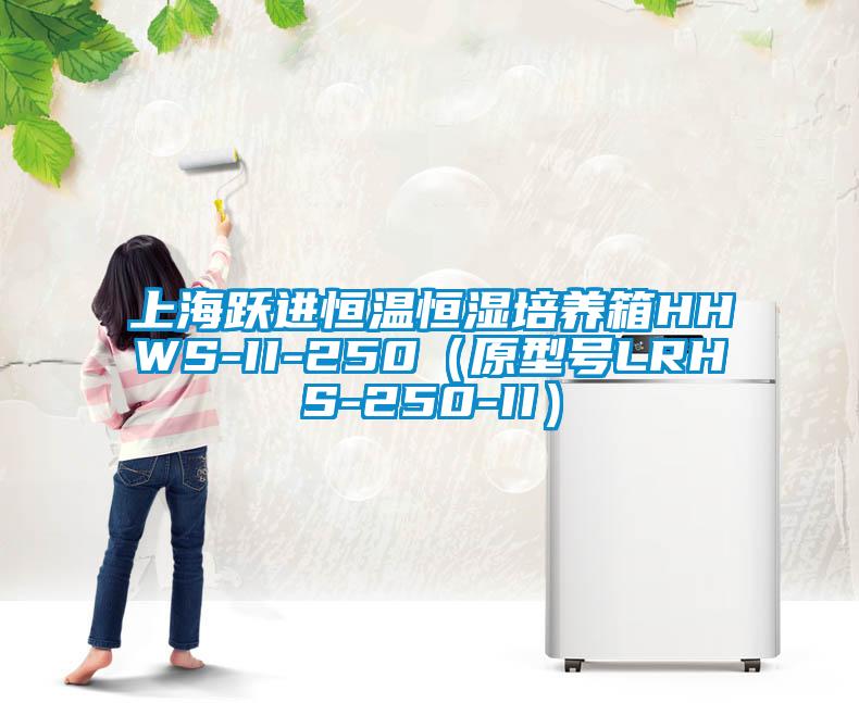 上海躍進(jìn)恒溫恒濕培養(yǎng)箱HHWS-II-250（原型號(hào)LRHS-250-II）