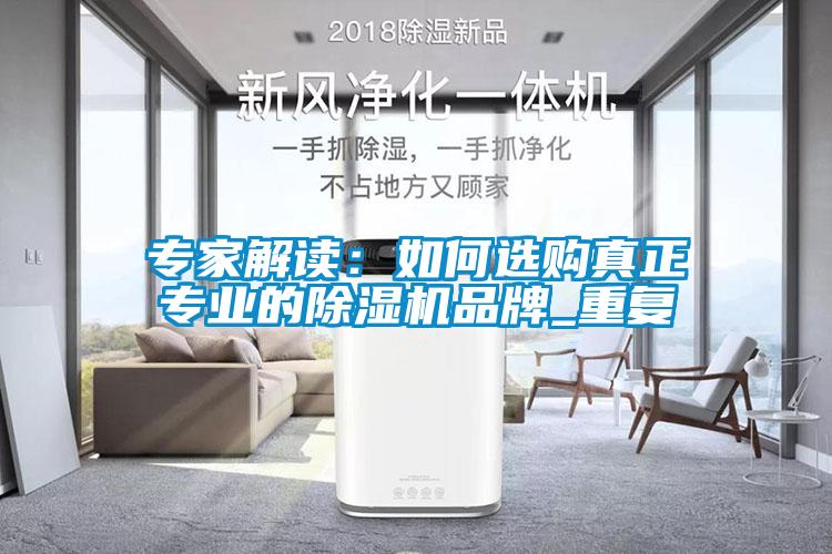 專家解讀：如何選購真正專業(yè)的除濕機品牌_重復