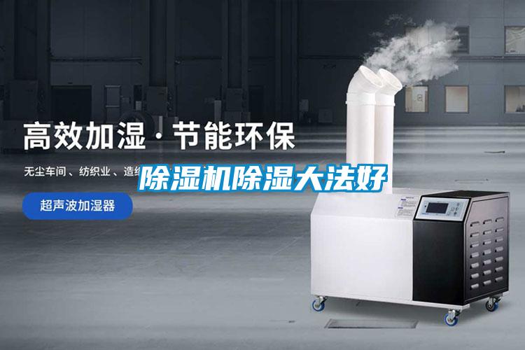 除濕機(jī)除濕大法好