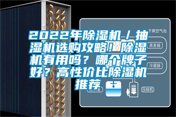2022年除濕機(jī)／抽濕機(jī)選購(gòu)攻略！除濕機(jī)有用嗎？哪個(gè)牌子好？高性價(jià)比除濕機(jī)推薦