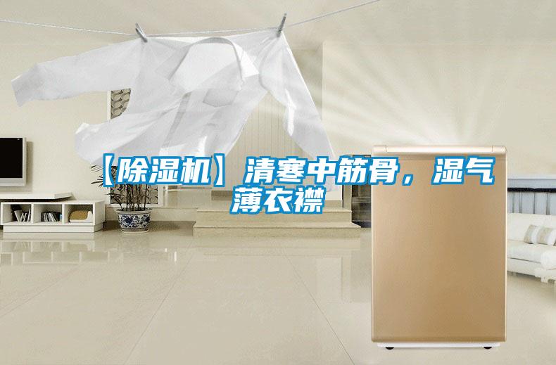 【除濕機(jī)】清寒中筋骨，濕氣薄衣襟