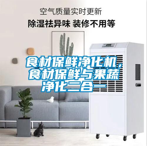 食材保鮮凈化機(jī)，食材保鮮與果蔬凈化二合一