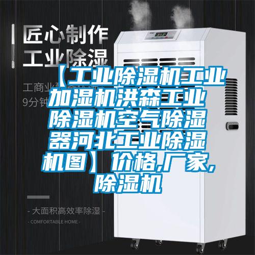【工業(yè)除濕機(jī)工業(yè)加濕機(jī)洪森工業(yè)除濕機(jī)空氣除濕器河北工業(yè)除濕機(jī)圖】價(jià)格,廠家,除濕機(jī)