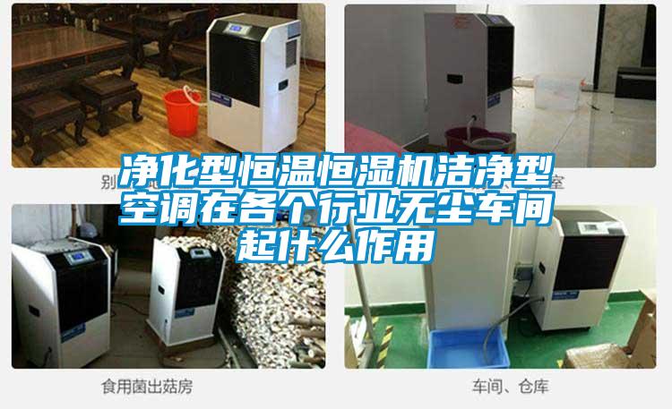 凈化型恒溫恒濕機(jī)潔凈型空調(diào)在各個(gè)行業(yè)無塵車間起什么作用
