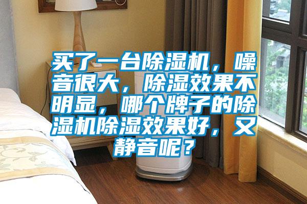 買了一臺(tái)除濕機(jī)，噪音很大，除濕效果不明顯，哪個(gè)牌子的除濕機(jī)除濕效果好，又靜音呢？