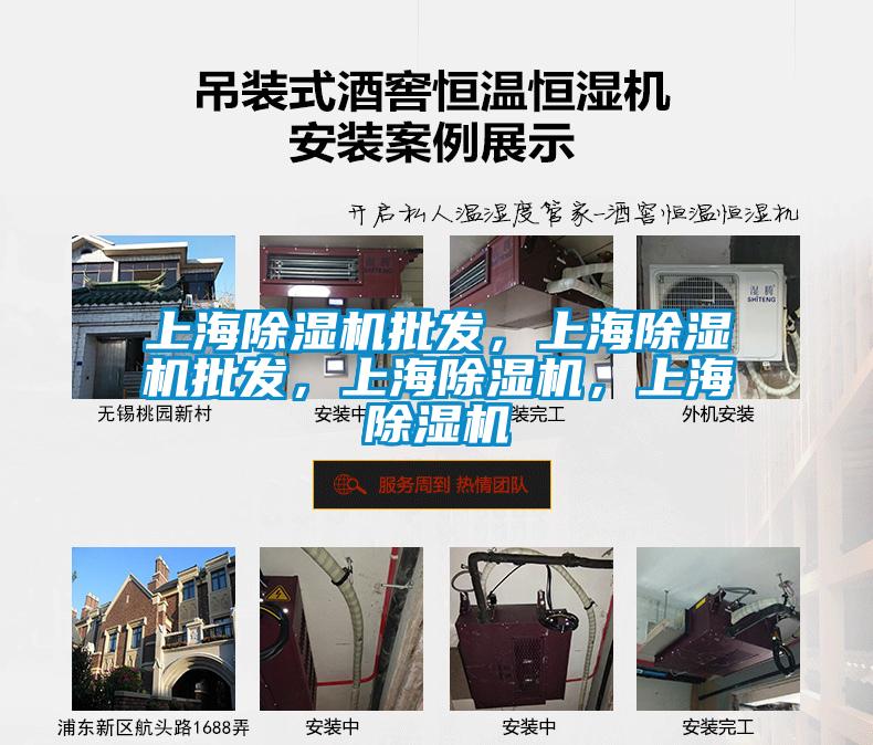 上海除濕機(jī)批發(fā)，上海除濕機(jī)批發(fā)，上海除濕機(jī)，上海除濕機(jī)