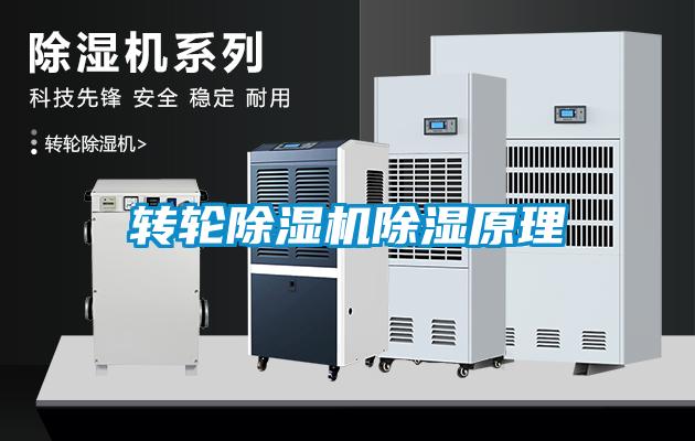 轉(zhuǎn)輪除濕機除濕原理