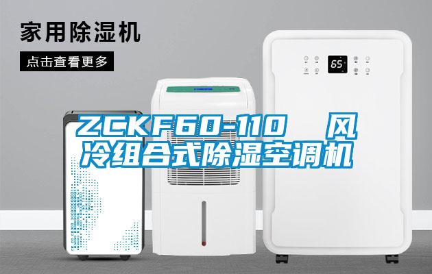 ZCKF60-110  風(fēng)冷組合式除濕空調(diào)機(jī)