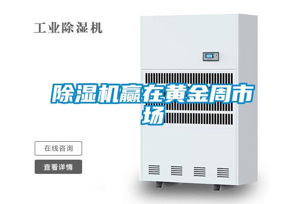除濕機(jī)贏在黃金周市場(chǎng)