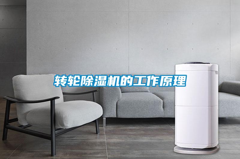 轉(zhuǎn)輪除濕機的工作原理