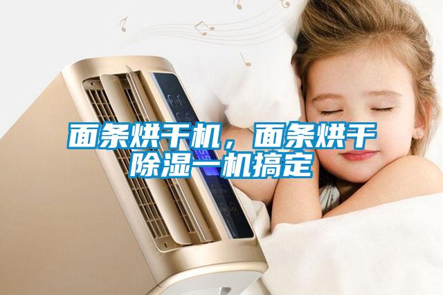 面條烘干機(jī)，面條烘干除濕一機(jī)搞定