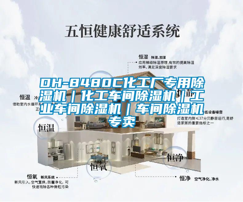 DH-8480C化工廠專用除濕機(jī)｜化工車間除濕機(jī)｜工業(yè)車間除濕機(jī)｜車間除濕機(jī)專賣