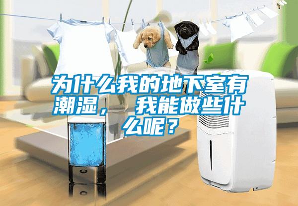 為什么我的地下室有潮濕， 我能做些什么呢？