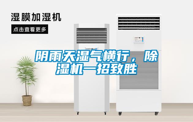 陰雨天濕氣橫行，除濕機一招致勝