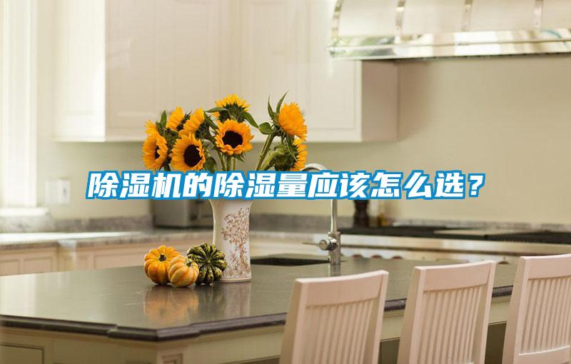 除濕機的除濕量應該怎么選？