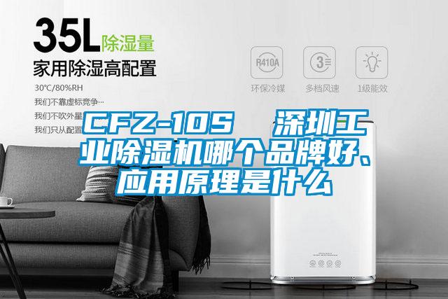 CFZ-10S  深圳工業(yè)除濕機(jī)哪個(gè)品牌好、應(yīng)用原理是什么