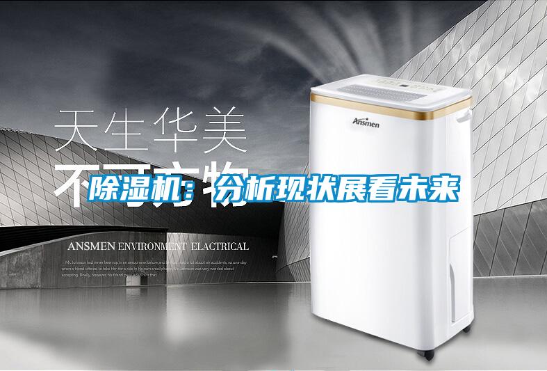 除濕機(jī)：分析現(xiàn)狀展看未來