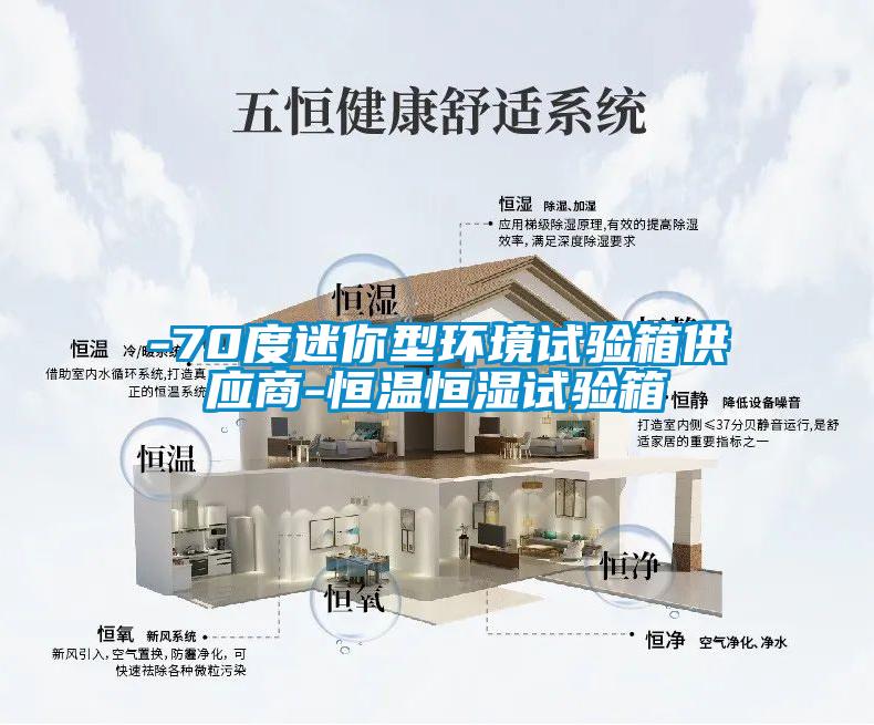 -70度迷你型環(huán)境試驗(yàn)箱供應(yīng)商-恒溫恒濕試驗(yàn)箱