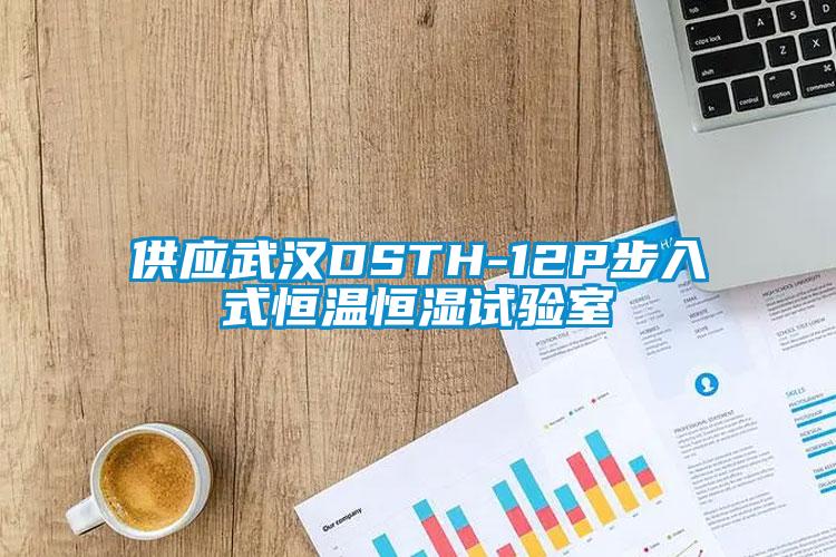 供應(yīng)武漢DSTH-12P步入式恒溫恒濕試驗室