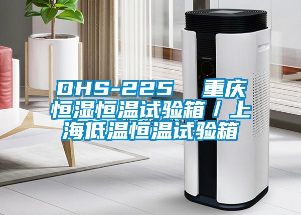 DHS-225  重慶恒濕恒溫試驗箱／上海低溫恒溫試驗箱