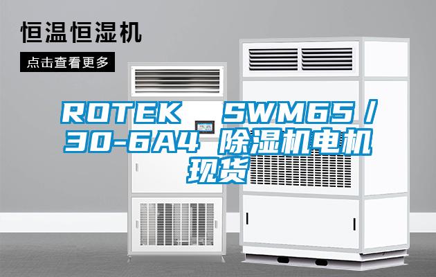 ROTEK  SWM65／30-6A4 除濕機(jī)電機(jī)現(xiàn)貨