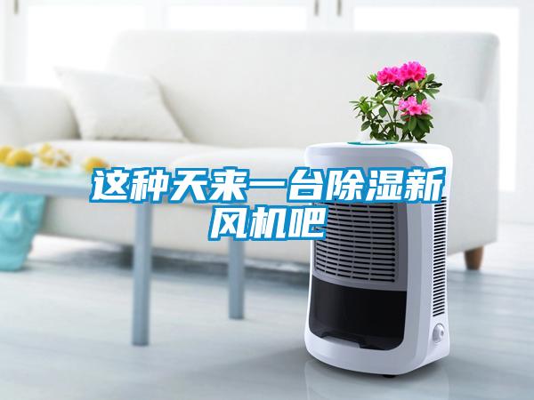 這種天來一臺除濕新風機吧